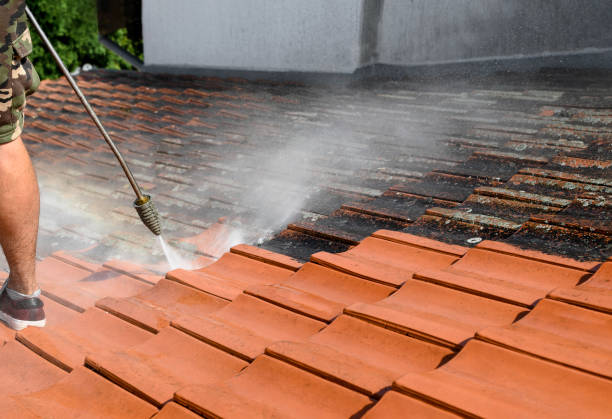 Best Affordable Power Washing  in Sugar Grove, IL